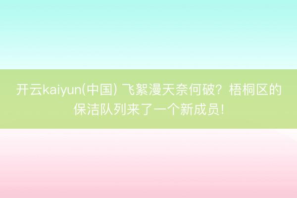开云kaiyun(中国) 飞絮漫天奈何破？梧桐区的保洁队列来了一个新成员!