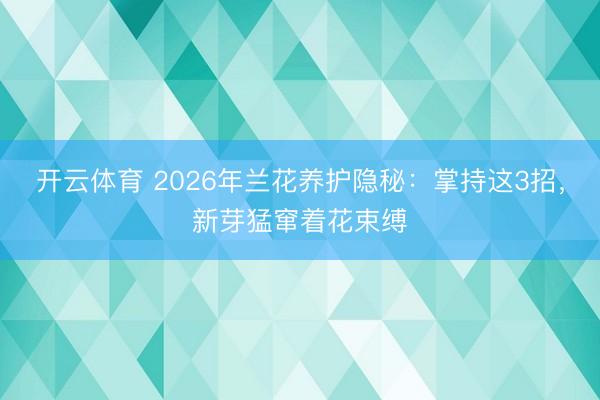 开云体育 2026年兰花养护隐秘：掌持这3招，新芽猛窜着花束缚