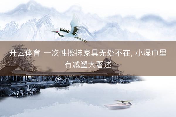 开云体育 一次性擦抹家具无处不在, 小湿巾里有减塑大著述