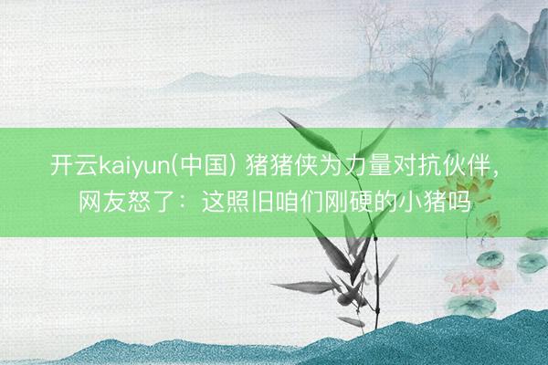 开云kaiyun(中国) 猪猪侠为力量对抗伙伴，网友怒了：这照旧咱们刚硬的小猪吗