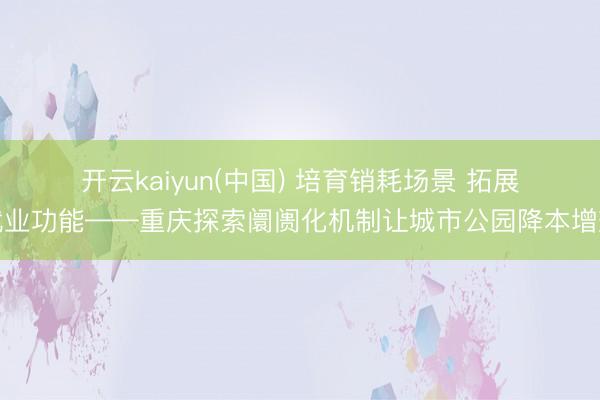 开云kaiyun(中国) 培育销耗场景 拓展就业功能——重庆探索阛阓化机制让城市公园降本增效