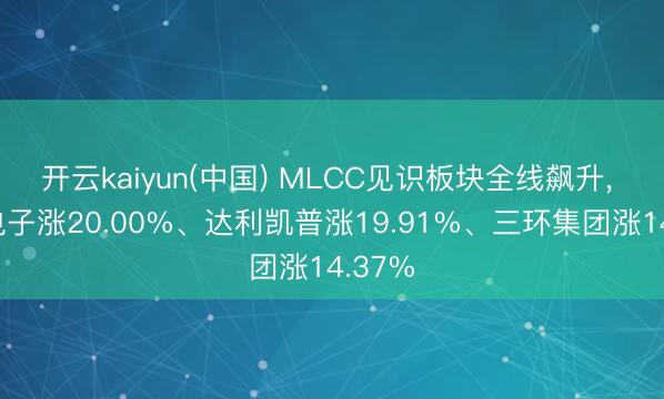 开云kaiyun(中国) MLCC见识板块全线飙升， 宏达电子涨20.00%、达利凯普涨19.91%、三环集团涨14.37%