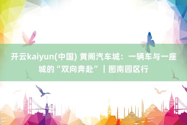 开云kaiyun(中国) 黄阁汽车城：一辆车与一座城的“双向奔赴”｜图南园区行