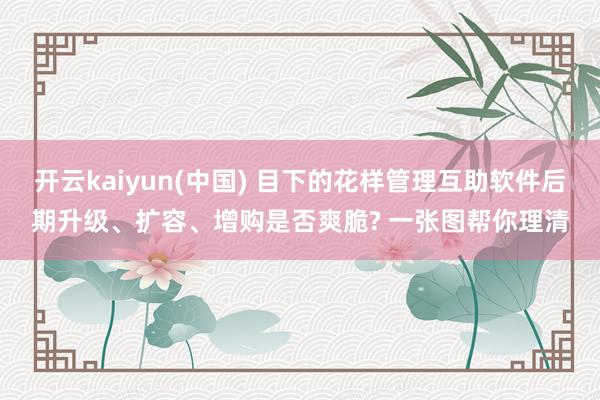 开云kaiyun(中国) 目下的花样管理互助软件后期升级、扩容、增购是否爽脆? 一张图帮你理清